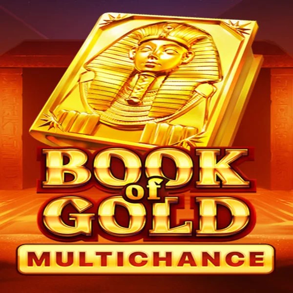 Book of Gold Multichance logo by Playson AllySpin Casino