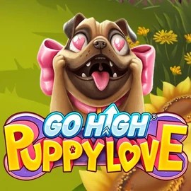 Go High Puppy Love online slot from RubyPlay – play at ally-spin.eu