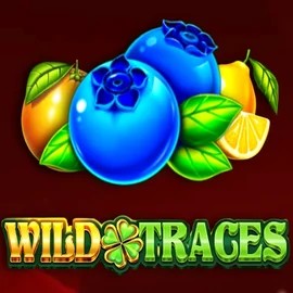 Wild Traces online game logo by Amusnet Interactive on ally-spin.eu