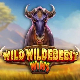 Play the Wild Wildebeest Wins slot by Pragmatic Play on AllySpin Casino